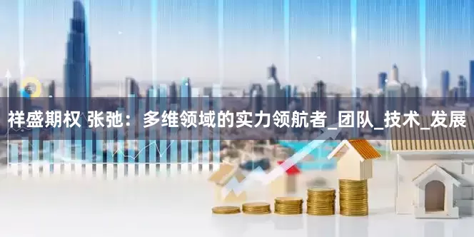 祥盛期权 张弛：多维领域的实力领航者_团队_技术_发展