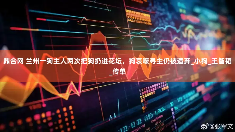 鼎合网 兰州一狗主人两次把狗扔进花坛，狗哀嚎寻主仍被遗弃_小狗_王智韬_传单