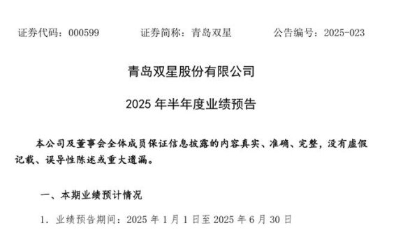 盈丰财富 鲁股观察 | 连亏6年、累计亏损超17亿，青岛双星何时盈利？
