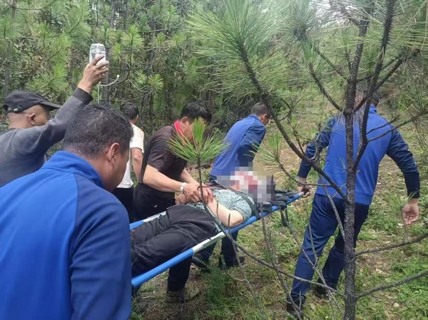 信德 云南丽江72岁老人遭黑熊袭击 家人：事发地离家只有几百米，住院一周仍在ICU抢救
